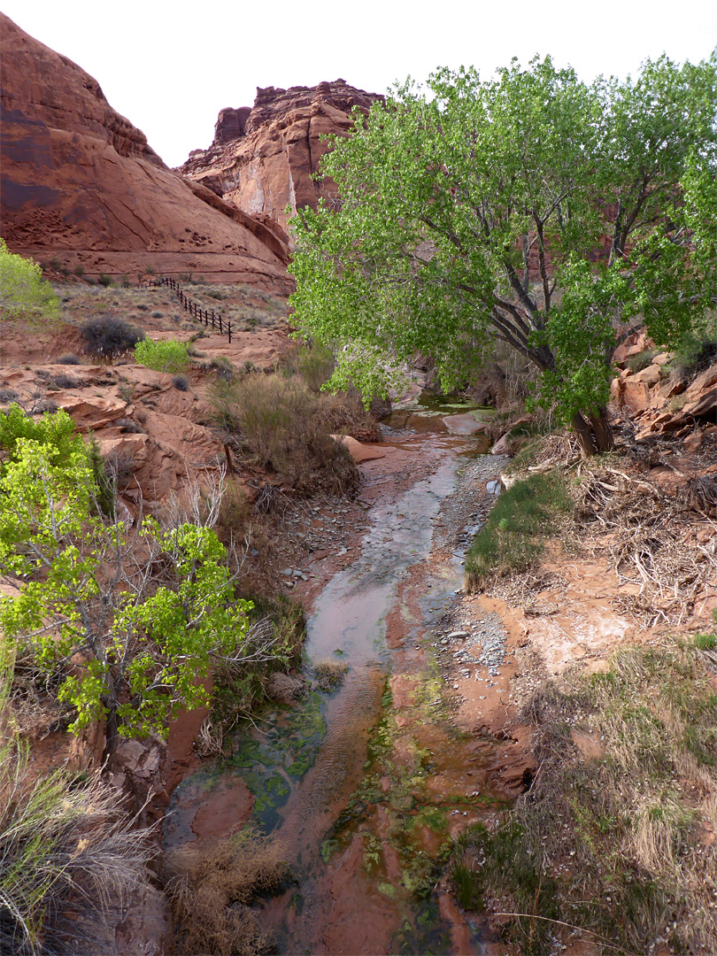 Stream near the picnic area