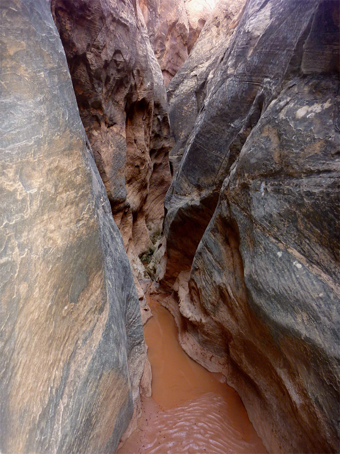 Above a pool