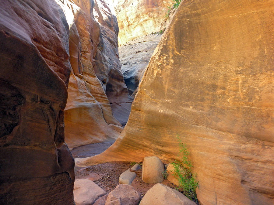 Boulders in the narrows