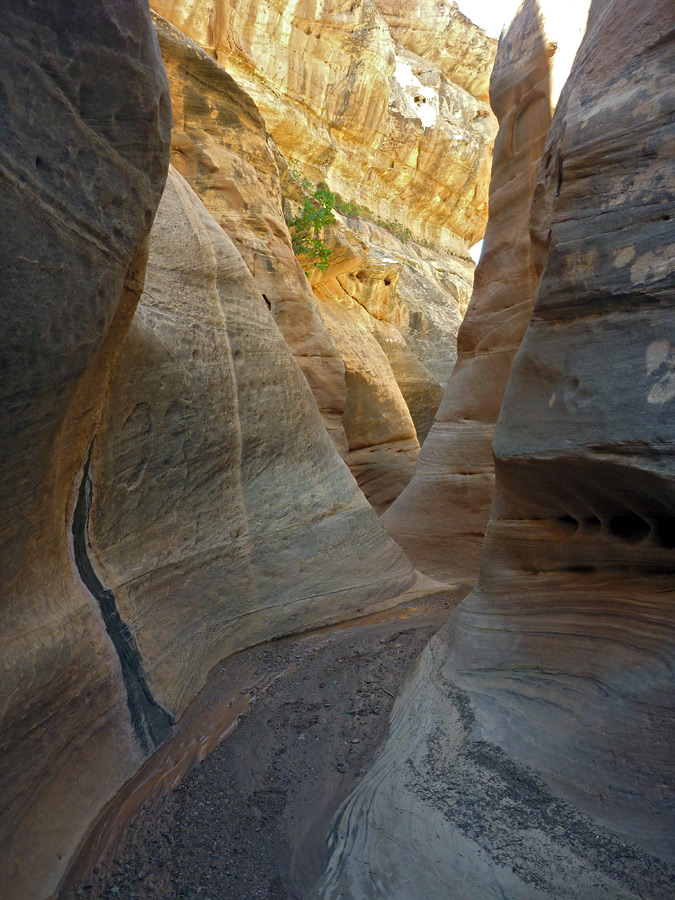 Curvy canyon walls