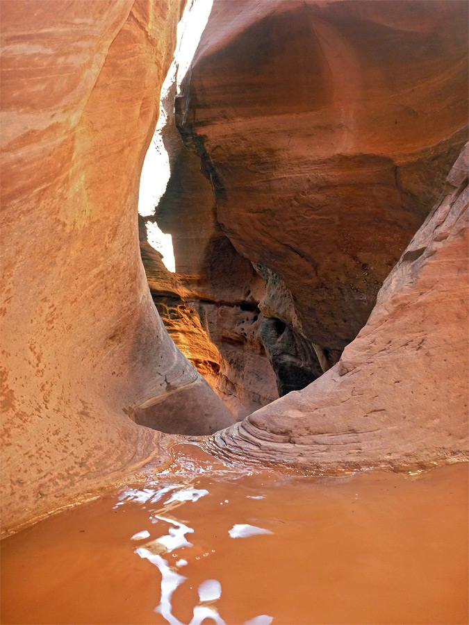 Muddy pool