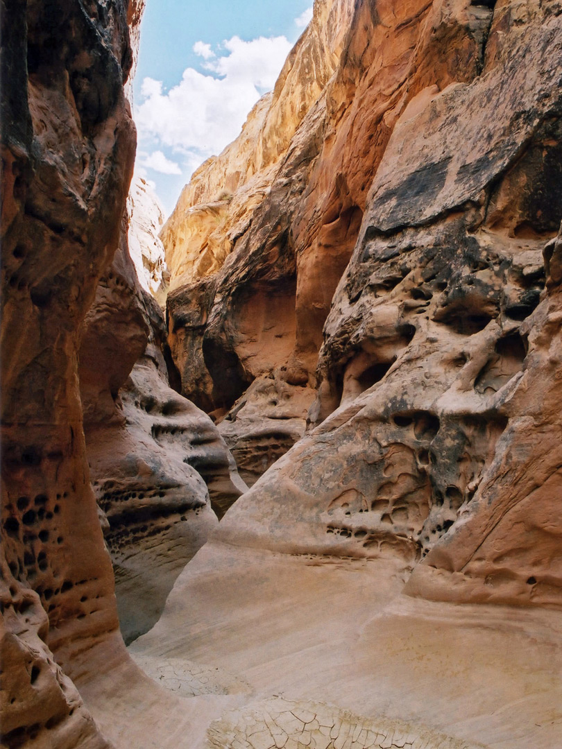 Undulating canyon walls