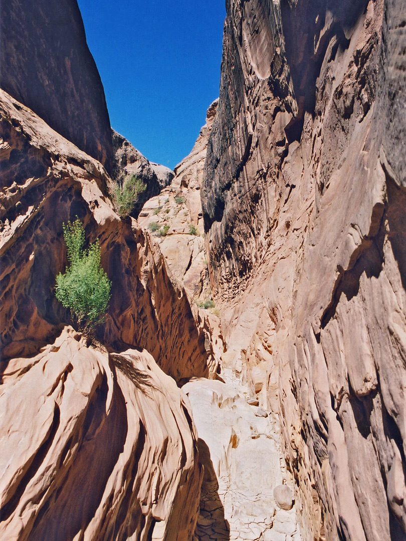 Below the narrows