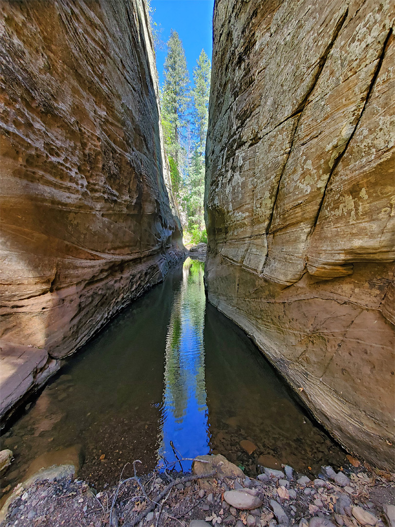 Long, narrow pool