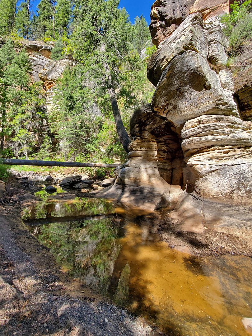 Shallow pool