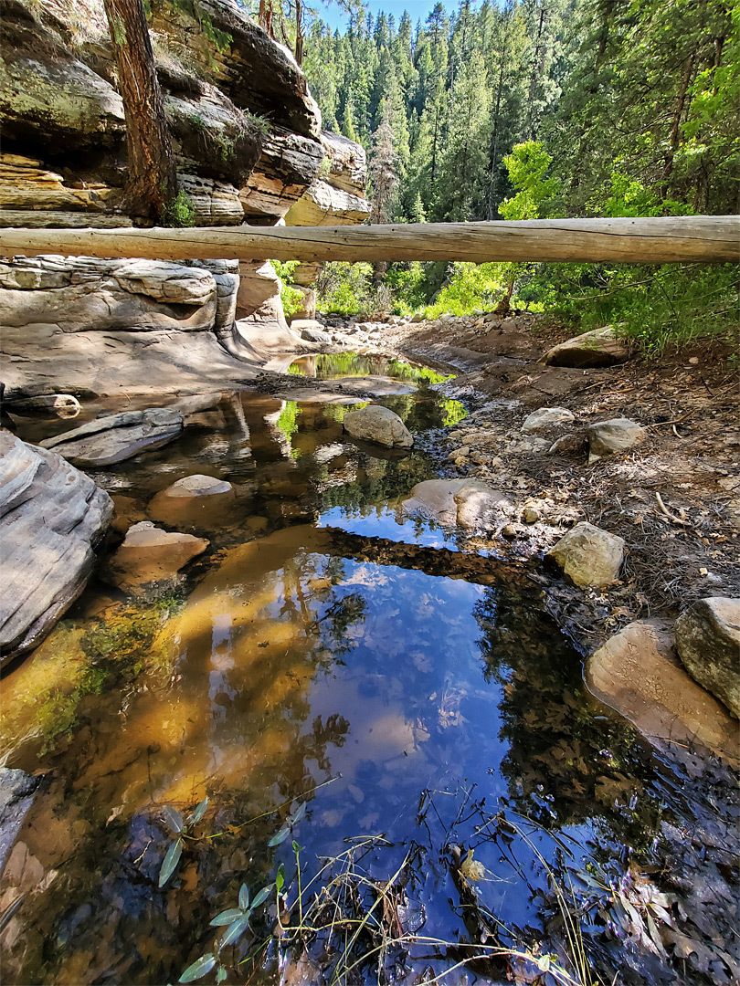 Log and pool