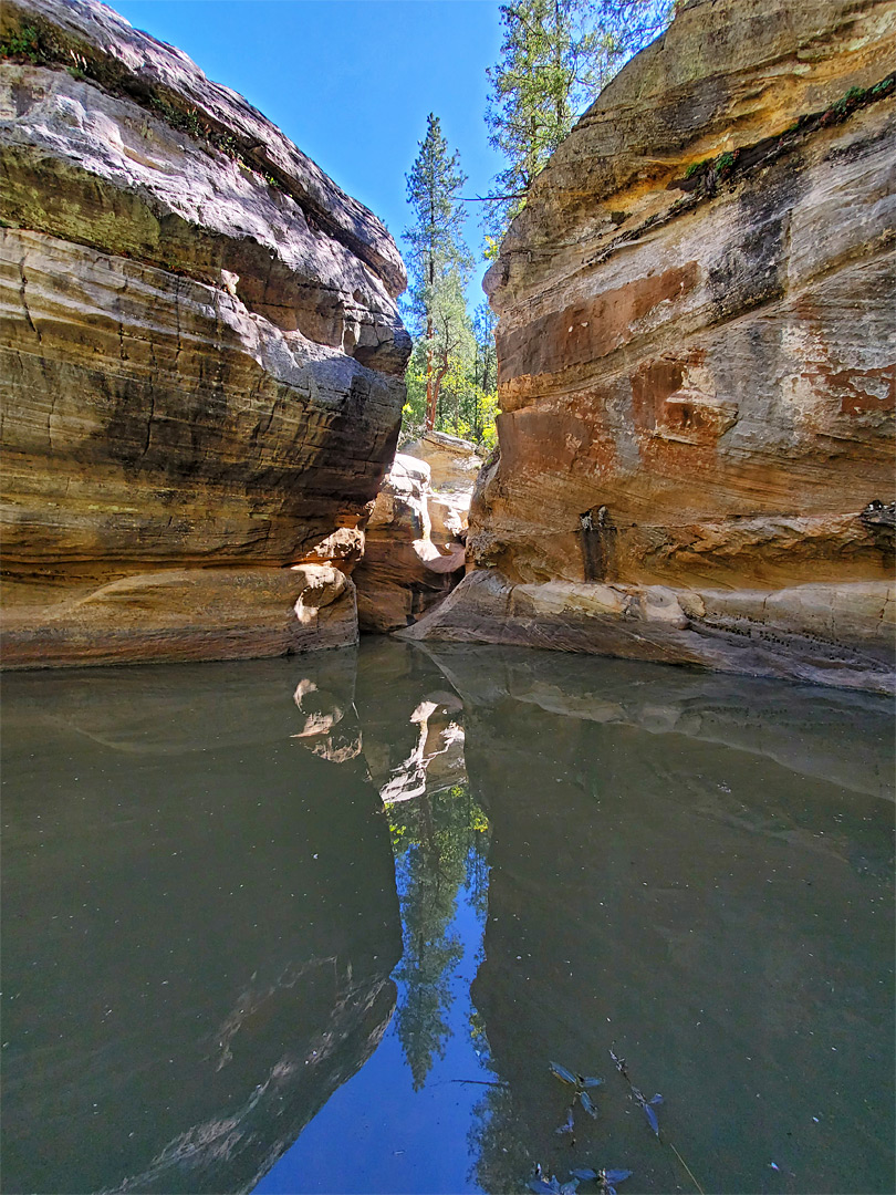 Reflections on a pool