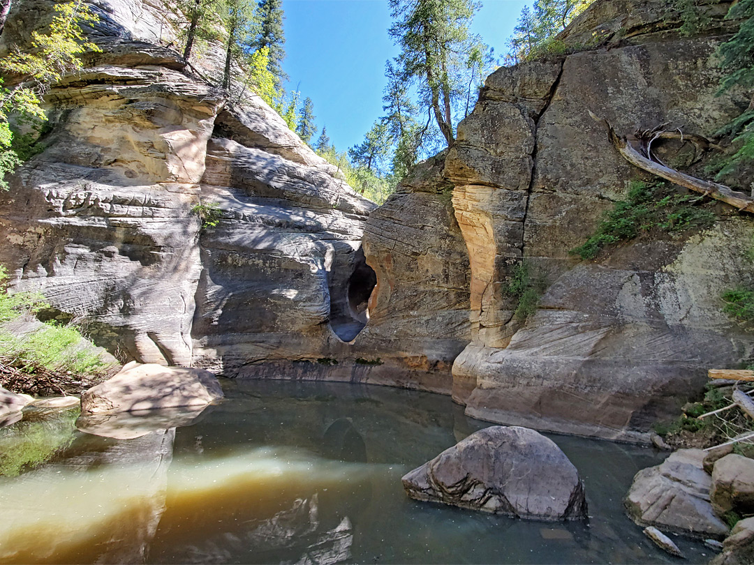 Enclosed pool