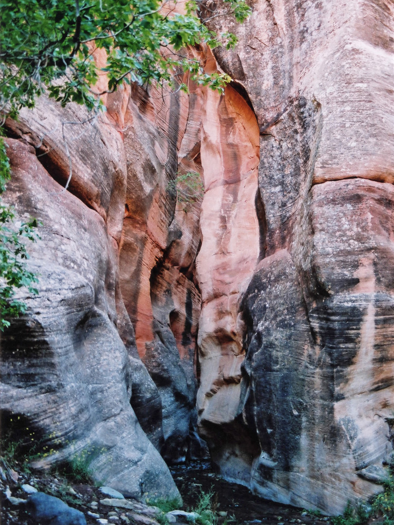 Bend in the canyon