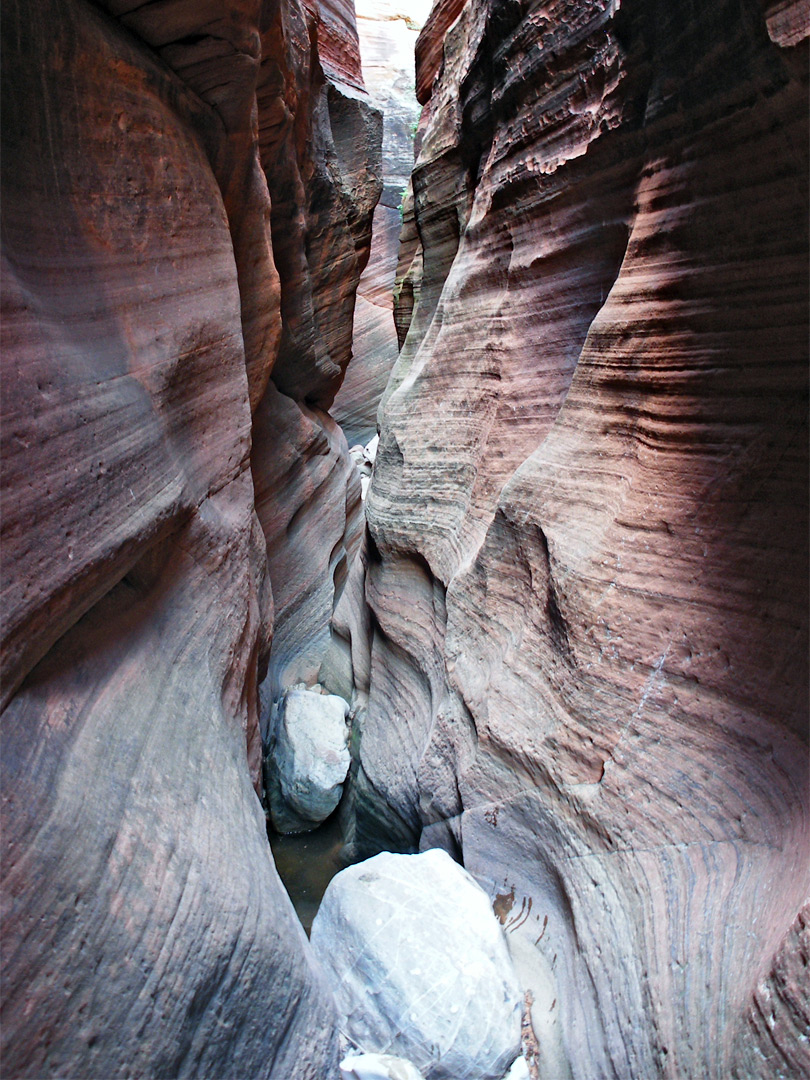 Boulders and pool