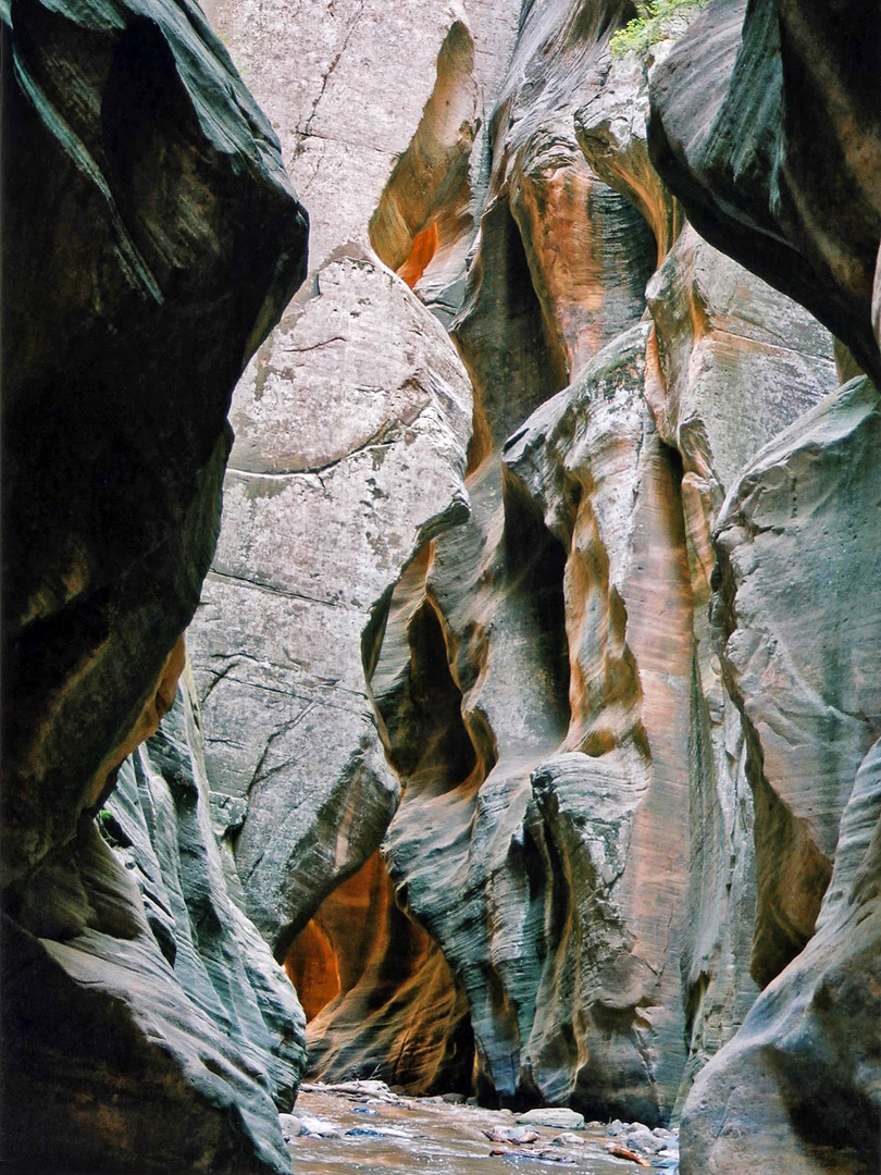 Sculptured canyon walls