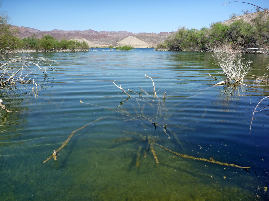 Greenish water