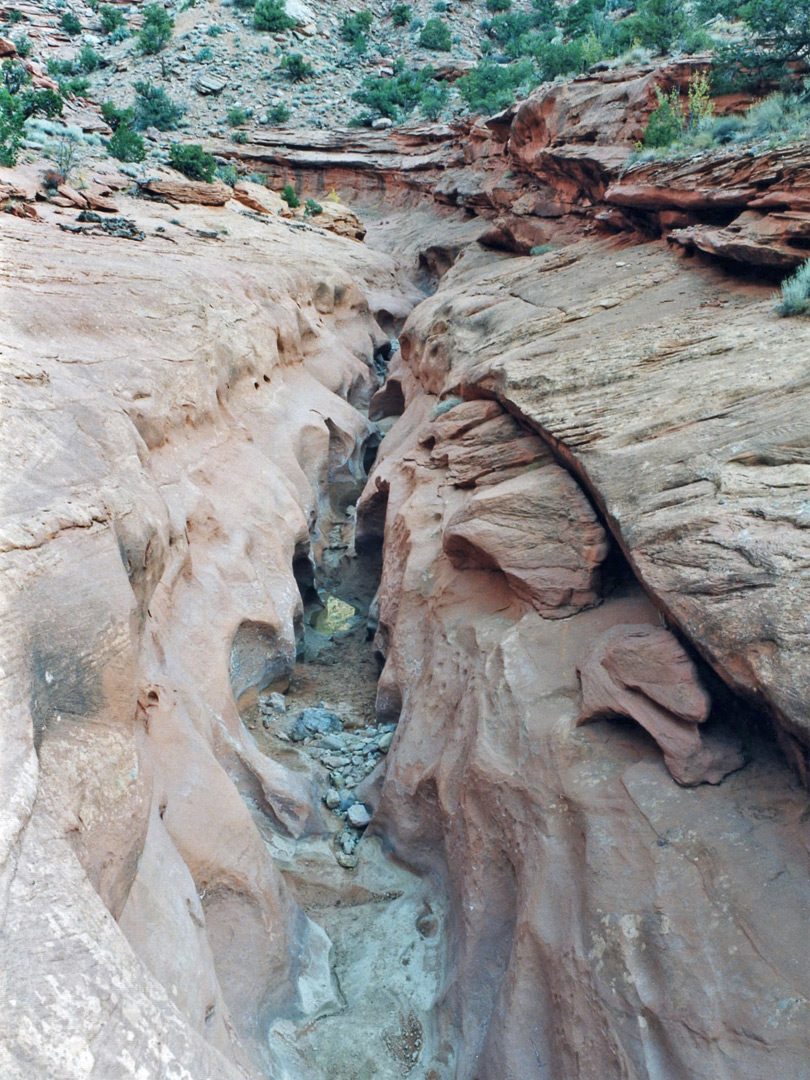 Near the Horse Canyon junction