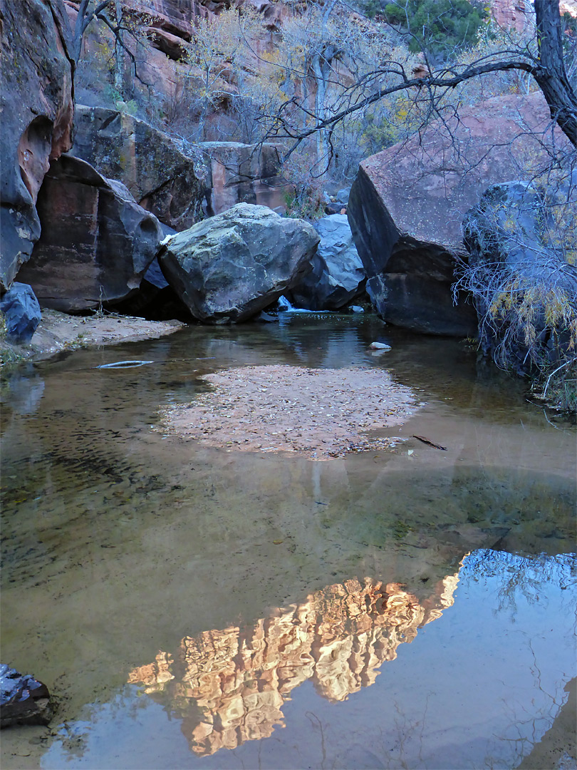 Reflected cliff