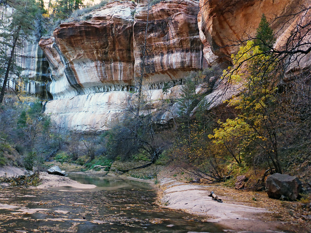 Cliff below the Subway