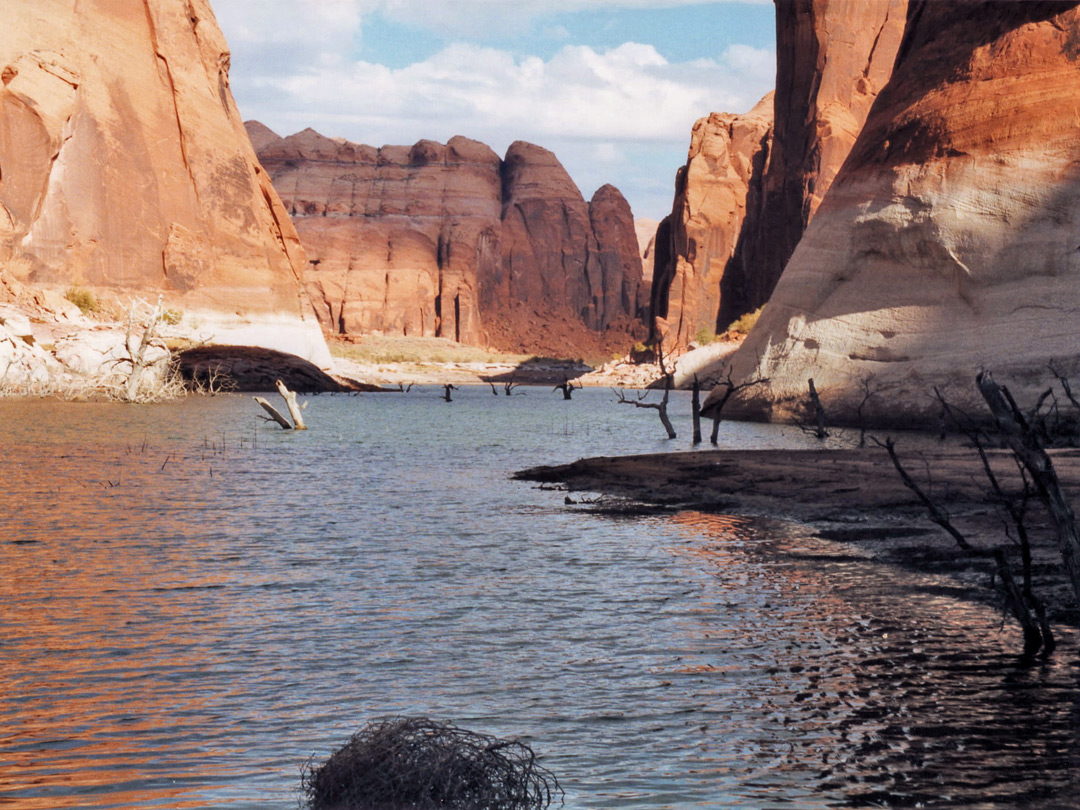 Shadows on the lake