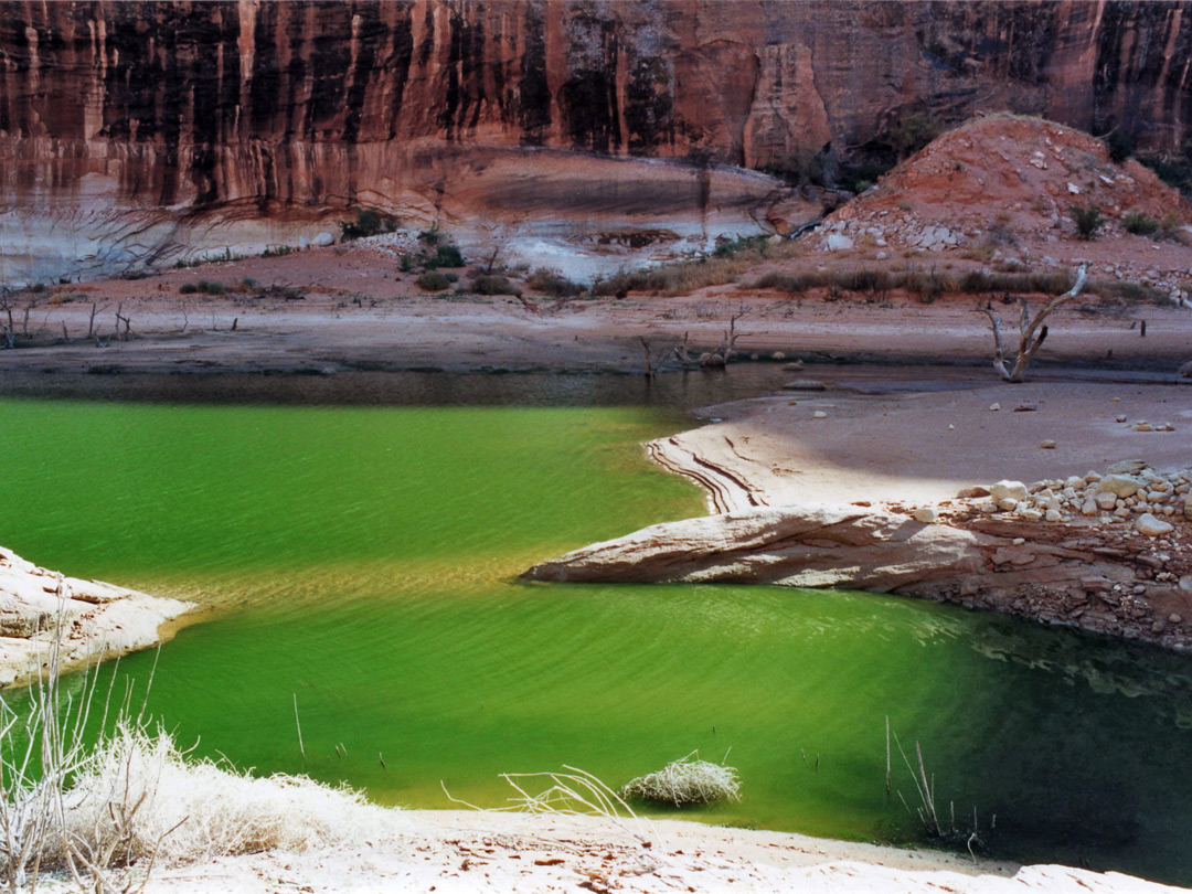 Green water