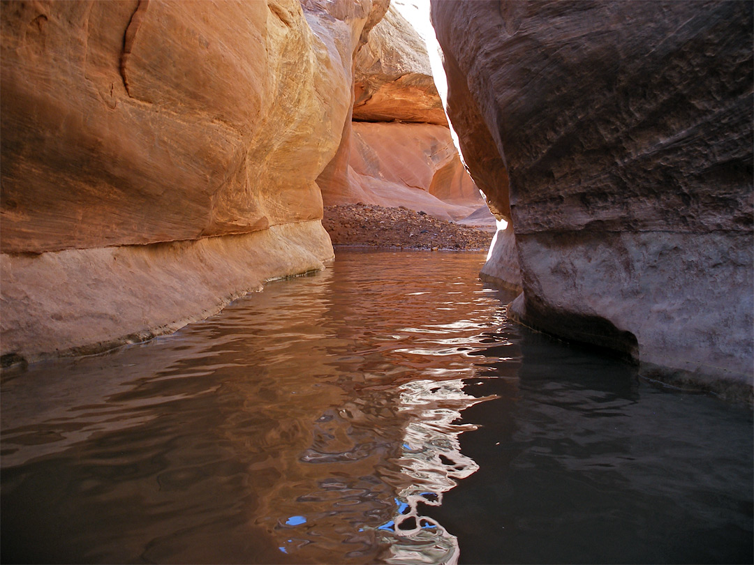 Watery chamber