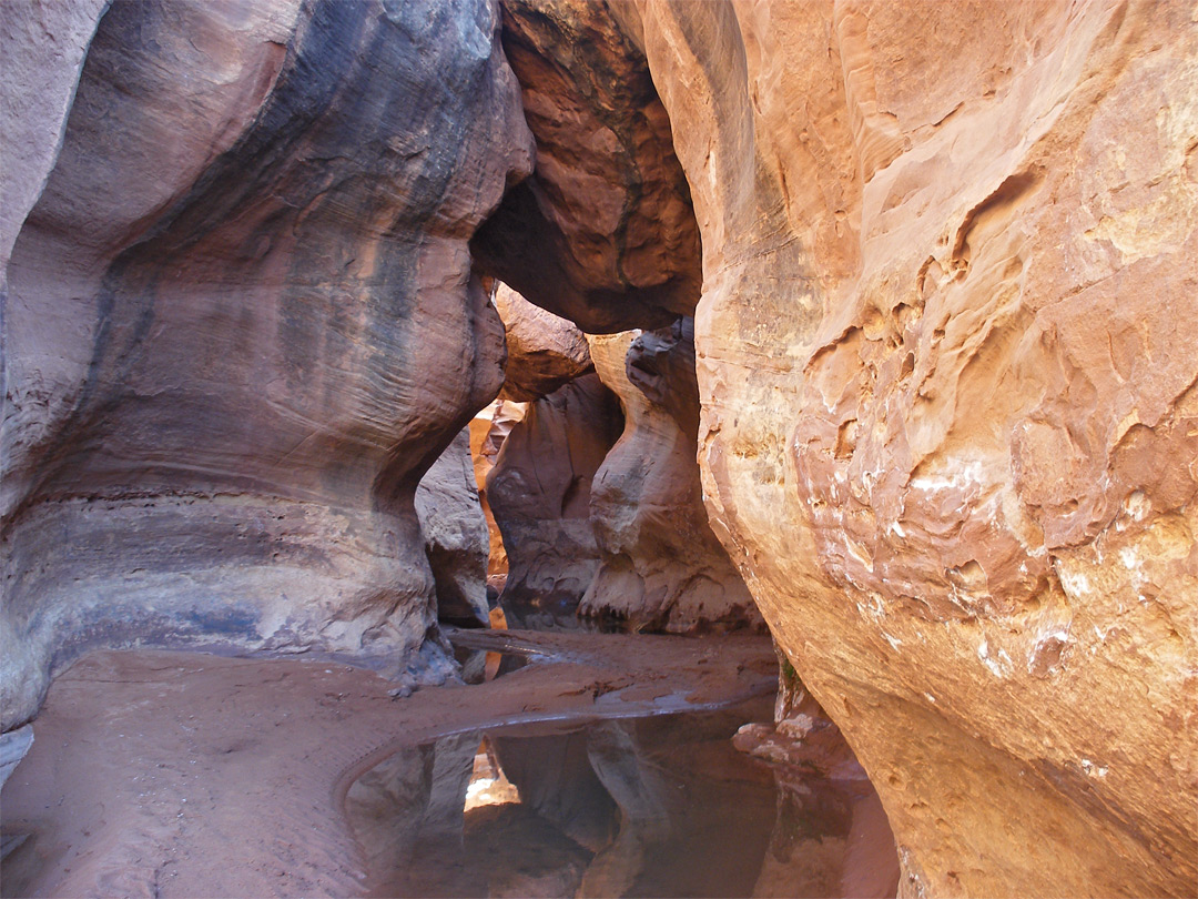 Colorful rocks