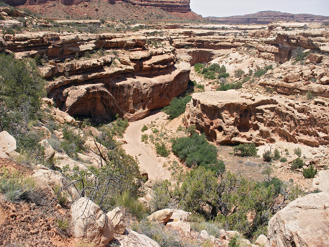 Descent into White Canyon