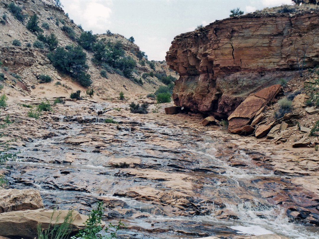 Stream in the lower canyon