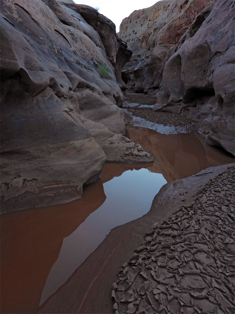 Pools and drying mud