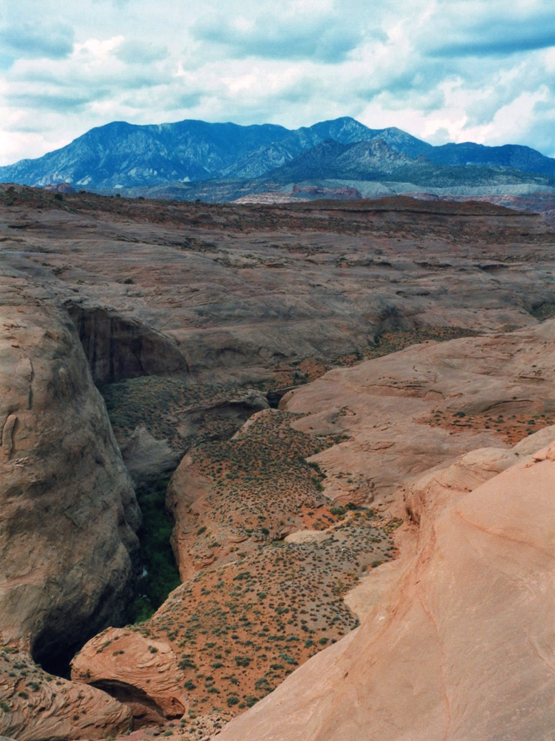 Above the lower canyon