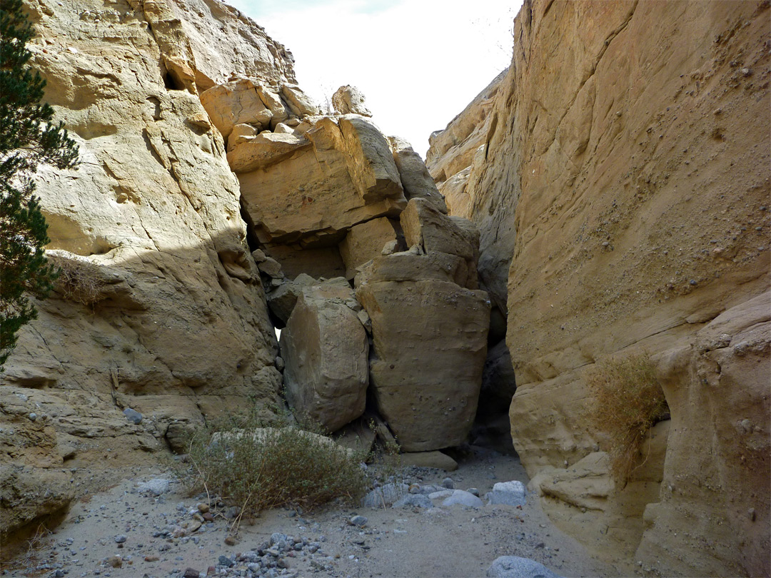 Fallen boulders