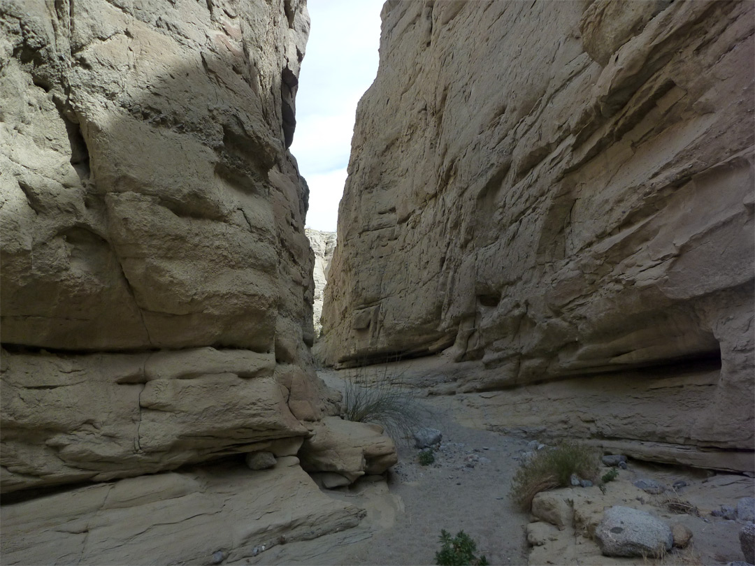 Vertical canyon walls