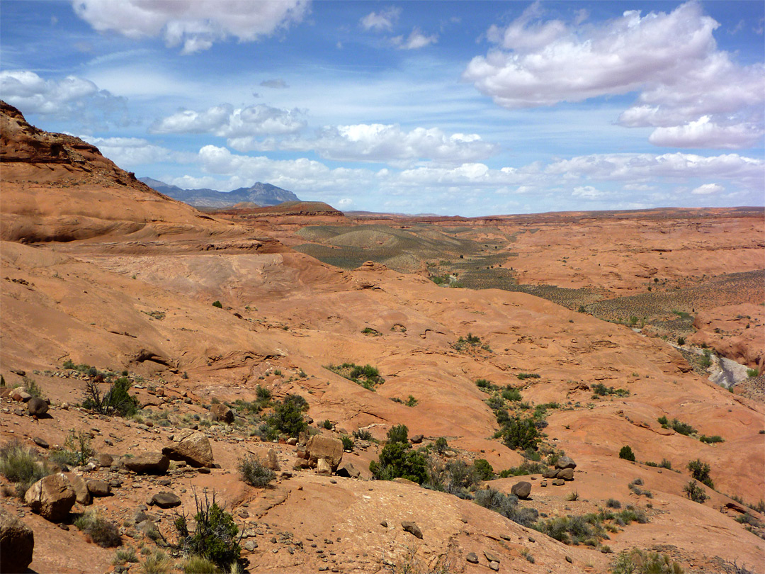 Valley of Trachyte Creek