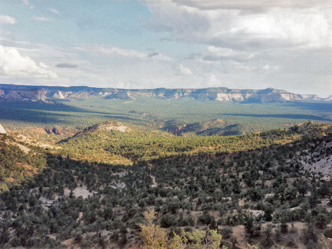 View south from the campsite