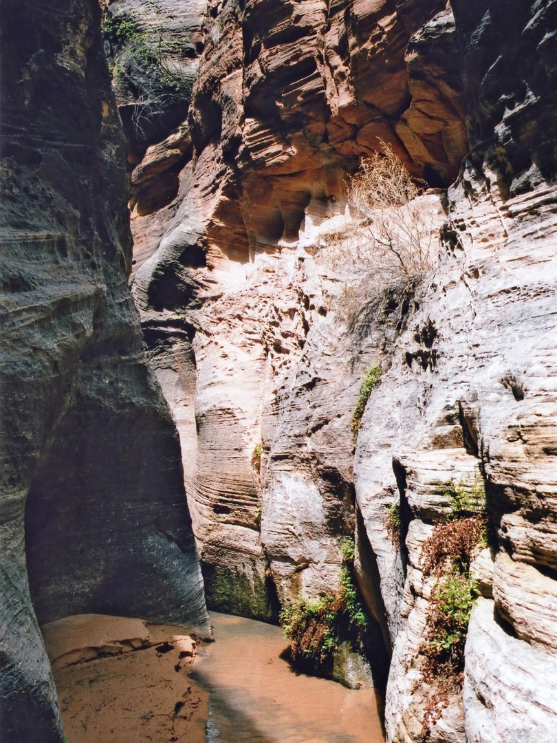 Stream near the end of the canyon