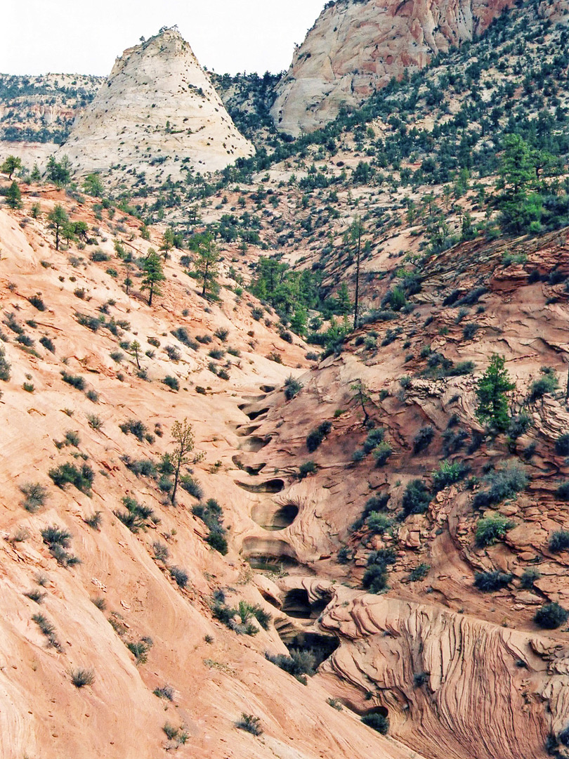 Potholes at the start of the canyon