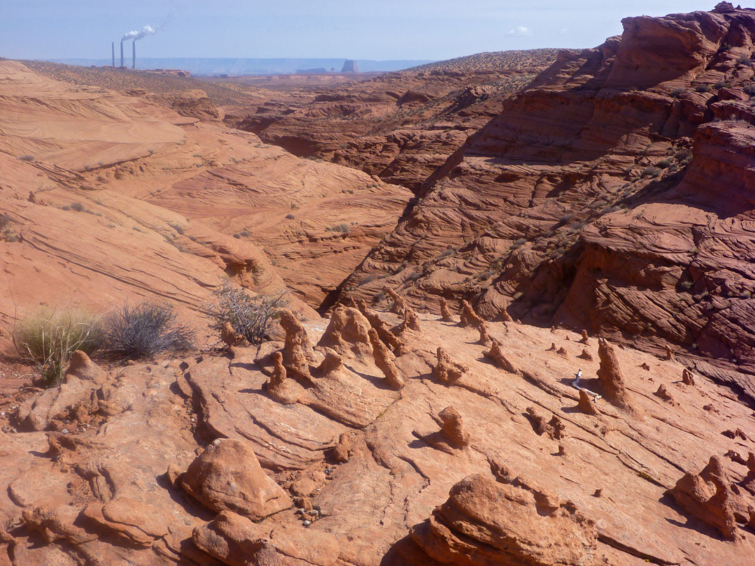 Mountain Sheep Canyon