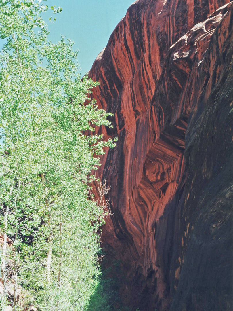 Desert varnished cliff