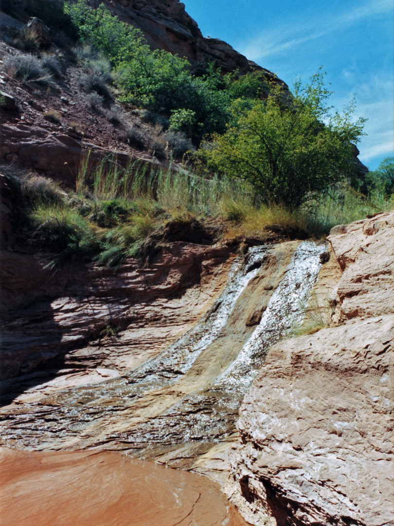 Stream near Hog Canyon