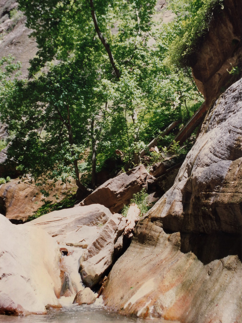 Boulders in Orderville Canyon