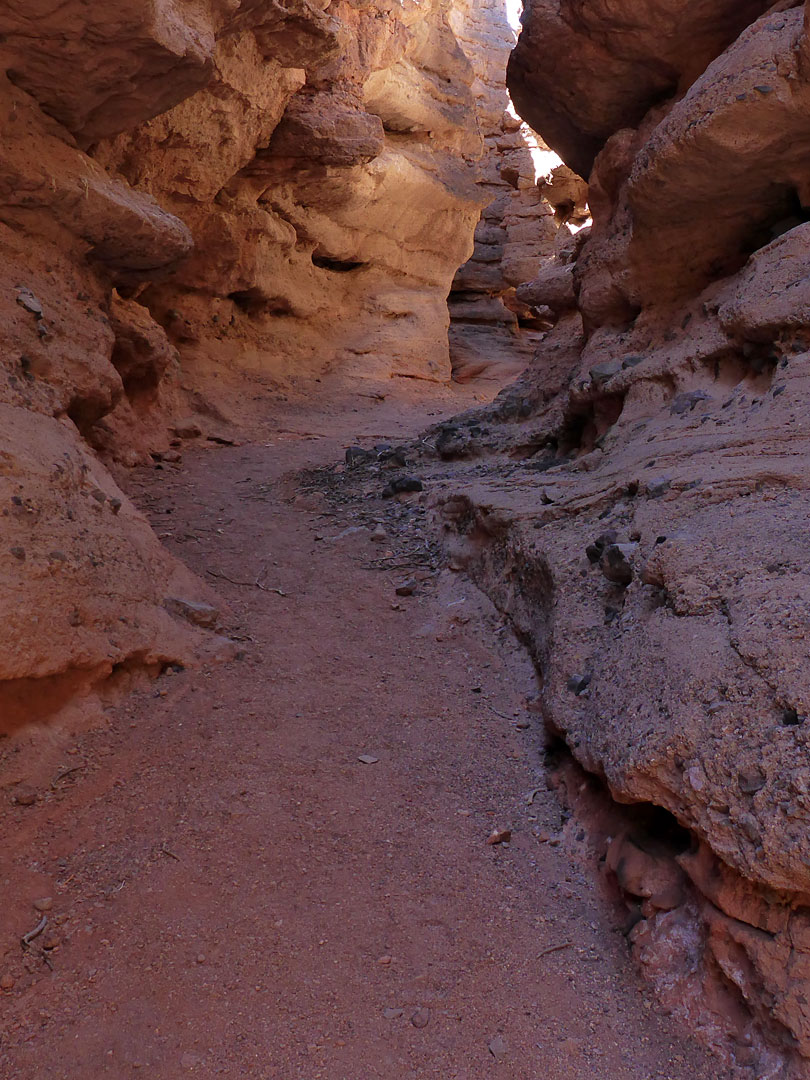 Gravelly streambed