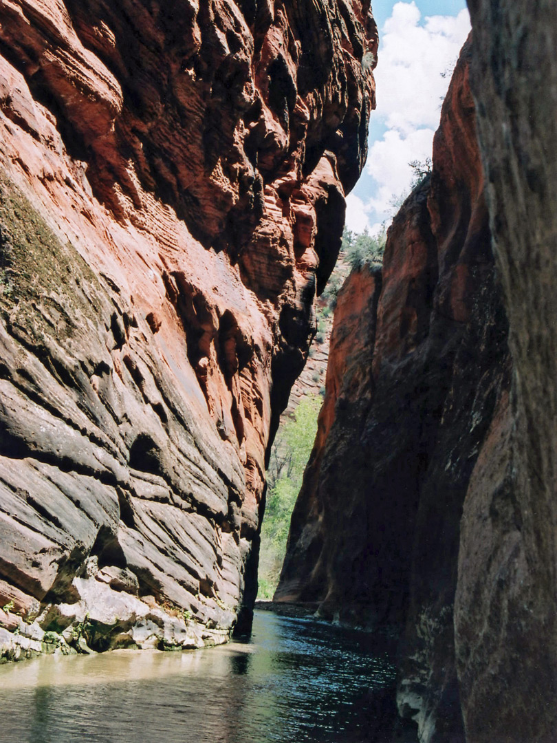 The Virgin River