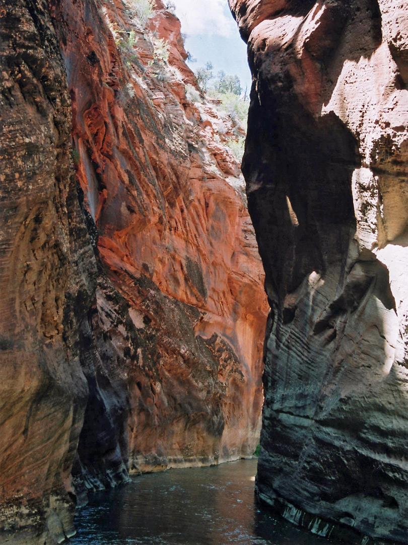 Walls of Parunuweap Canyon