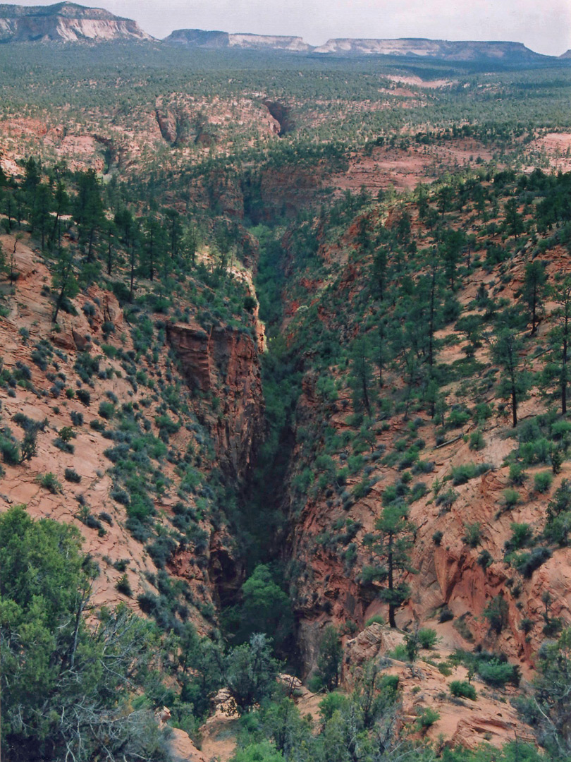 Deep side canyon