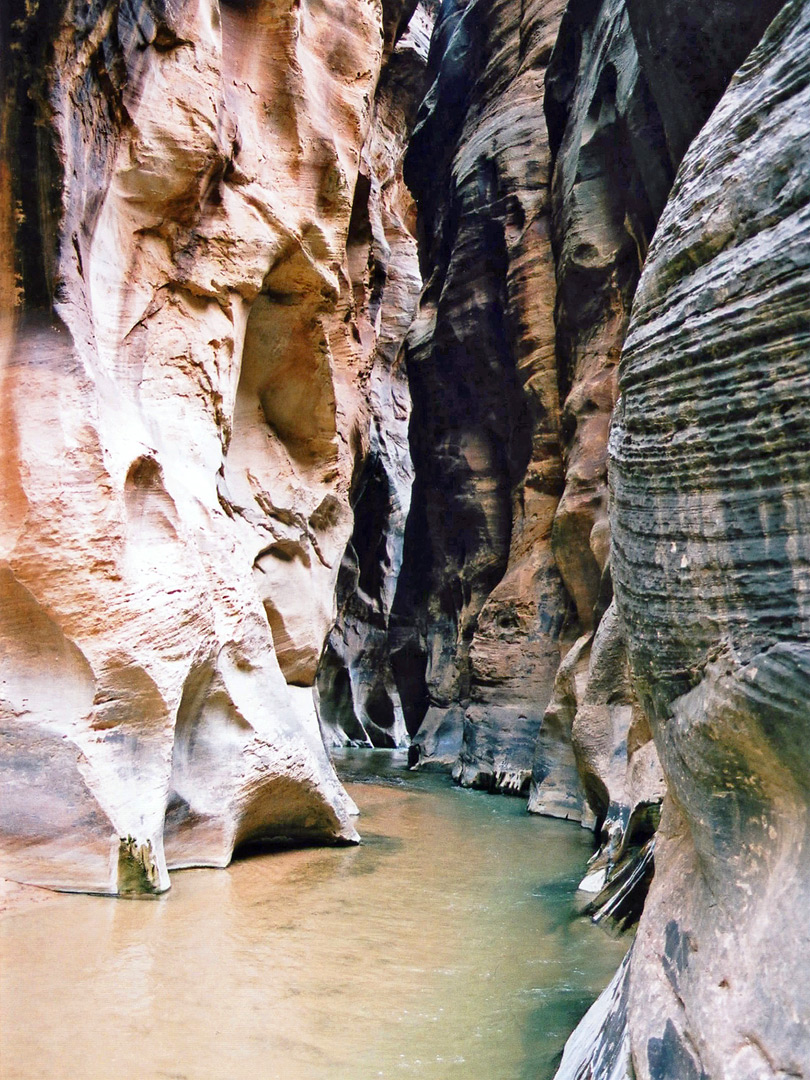 Parunuweap Canyon, Zion National Park, Utah