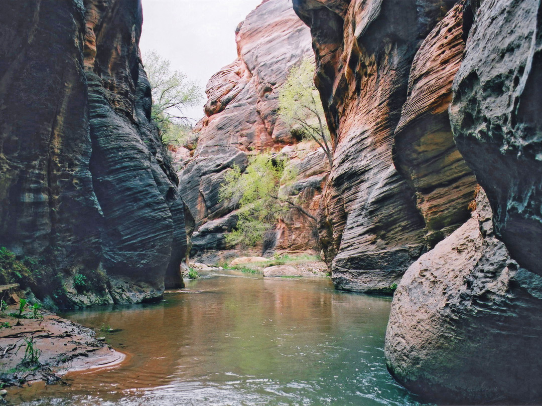 Tranquil pool