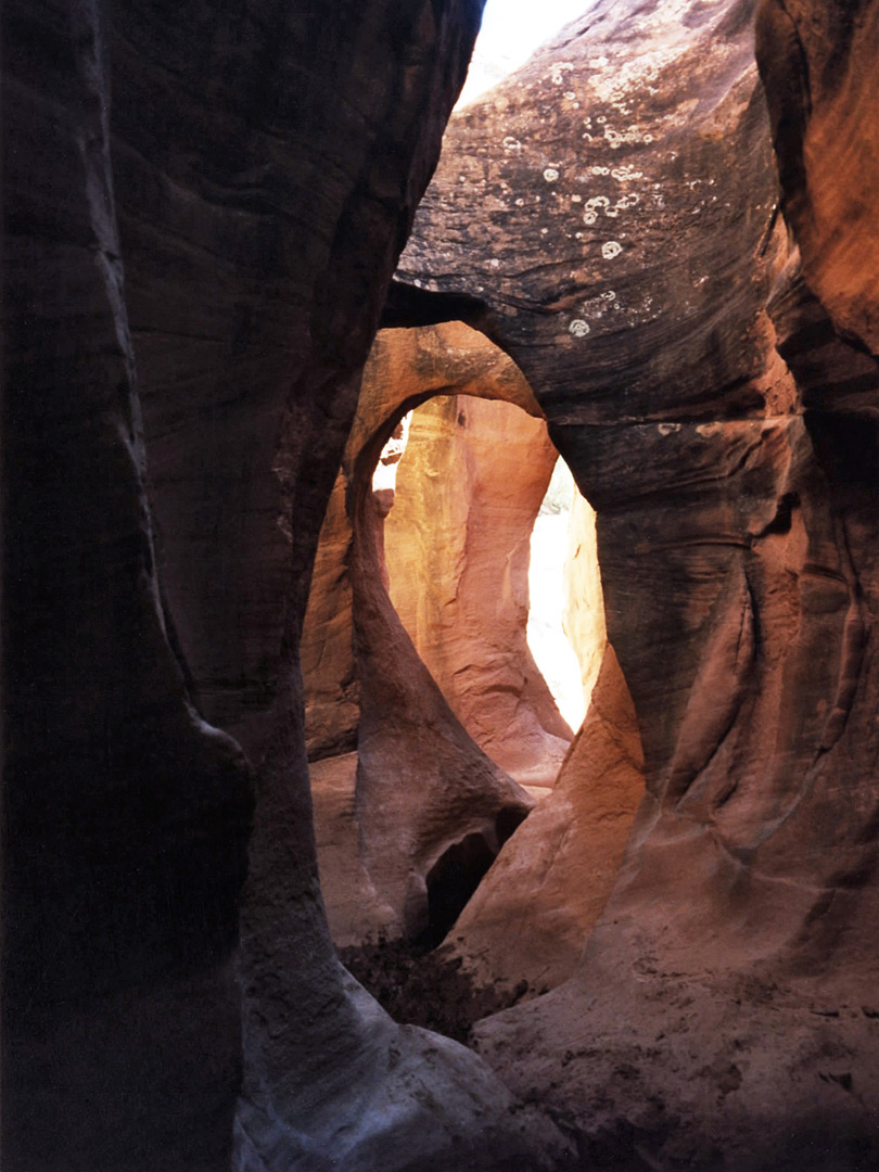 The arches of Peekaboo Gulch