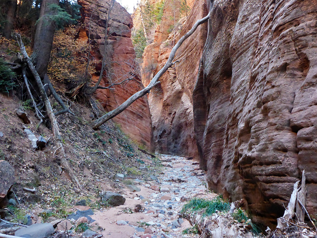 Pebbly streambed