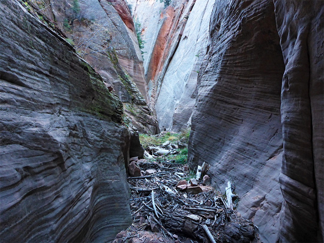 Logs below the cliffs