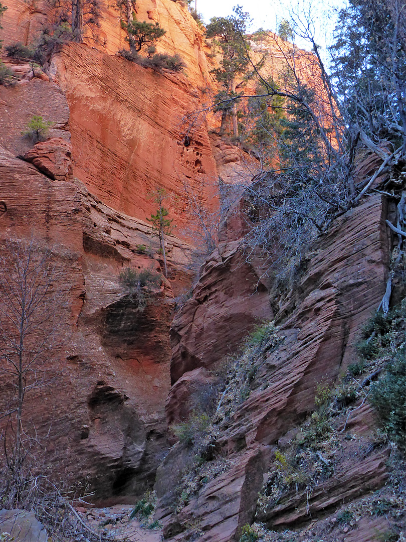 Canyon walls