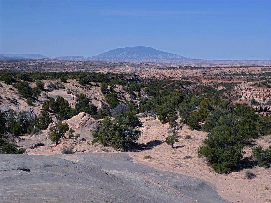 Navajo Mountain