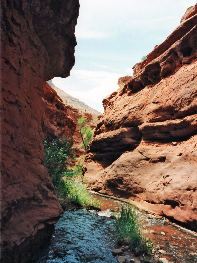 Middle of the canyon