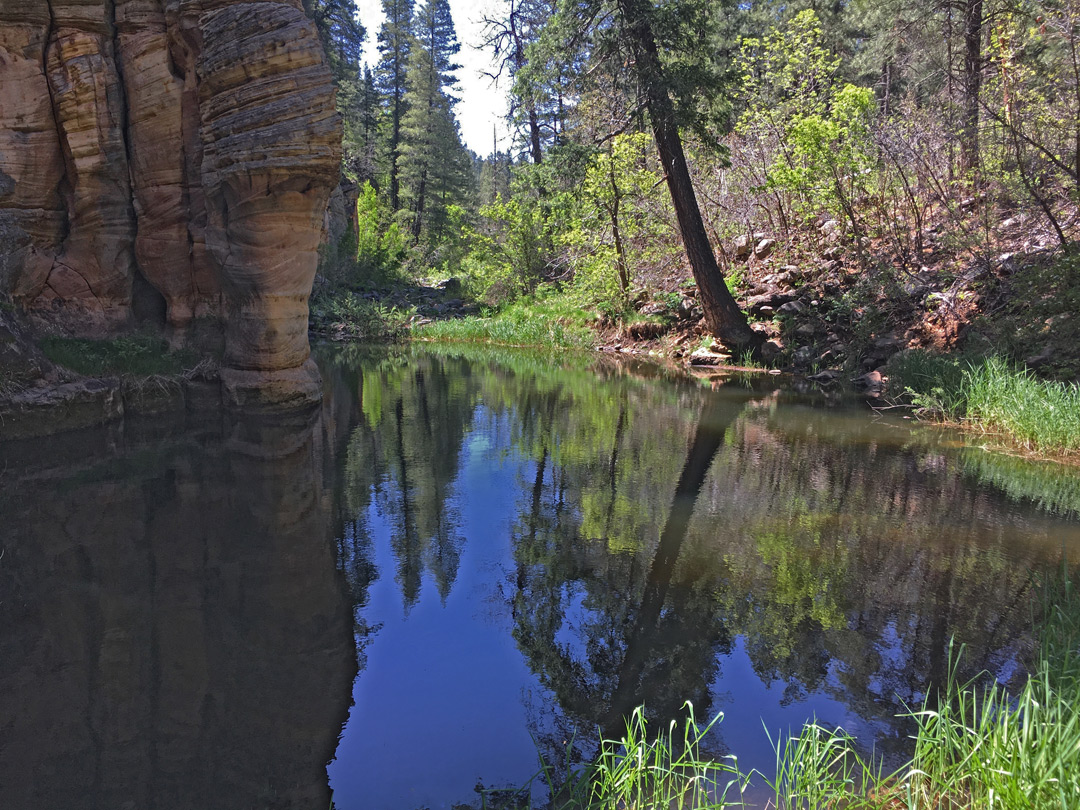 Reflections on a pool